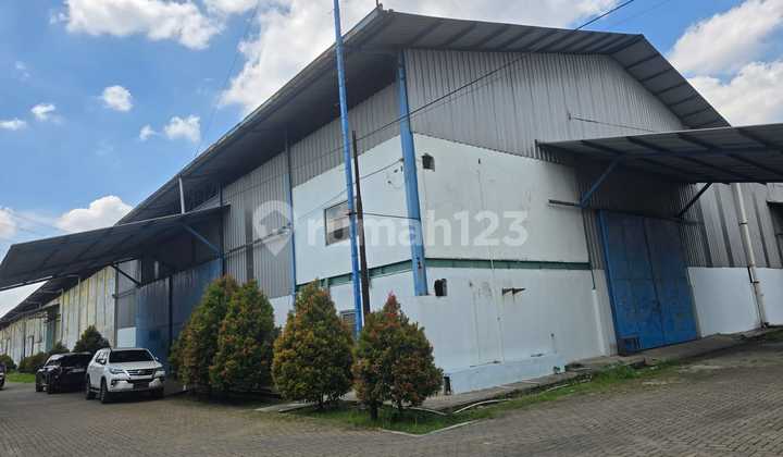 Ready-to-Use Warehouse with Highly Strategic Location in Cikupa Tangerang