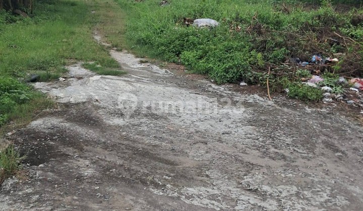 Dijual Tanah Cocok untuk Investasi di Raya Serang