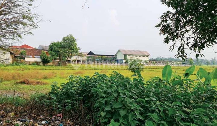 Tanah 1,5 Ha Lokasi Pinggir Jalan Raya Jonggol Tanjungsari Bogor Tanah 1,5 Ha Lokasi Pinggir Jalan Raya Jonggol Tanjungsari Bogor