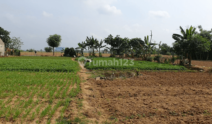 Tanah Luasan Besar Bebas Banjir Lokasi Strategis di Babelan 1