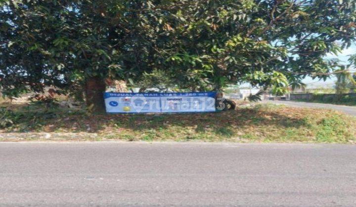 Kavling Komersial Murah Nan Luas, Tanjung Pandan, Belitung  1