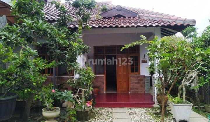 Rumah Cantik Asri Nan Luas 2 Lantai Patrang, Jember, Jawa Timur 1