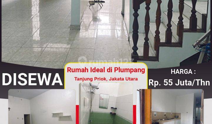 Disewakan Murah Rumah 2 Lantai di Plumpang, Koja 55 Juta 2