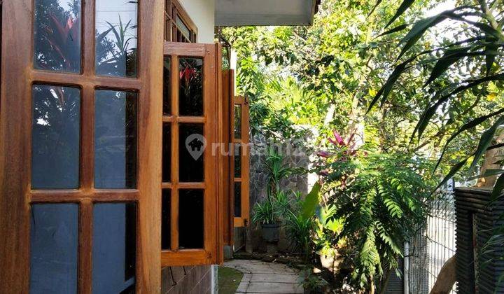 Rumah Cantik Asri Nan Luas 2 Lantai Patrang, Jember, Jawa Timur 2