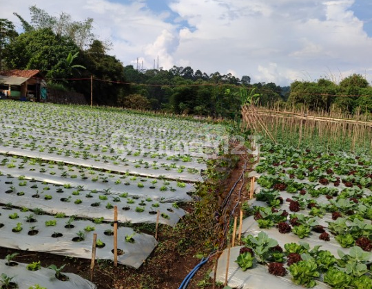 Tanah Dijual di Parongpong, Bandung Barat