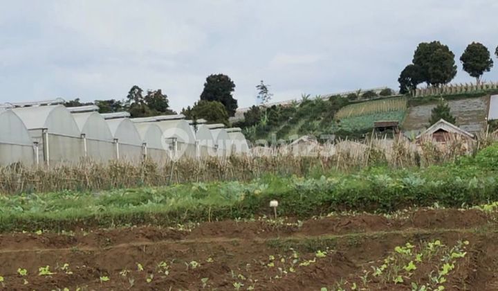 Tanah di Cisarua, Bandung Barat, Lokasi Strategis