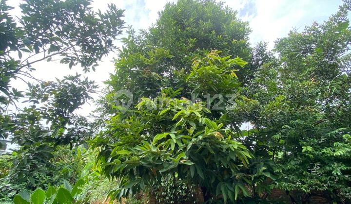 Tanah Dalam Komplek, di Pamulang, Tangerang Selatan