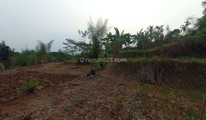 Tanah di Ciseeng Parung Bogor, Cocok u Kebun, Peternakan  2