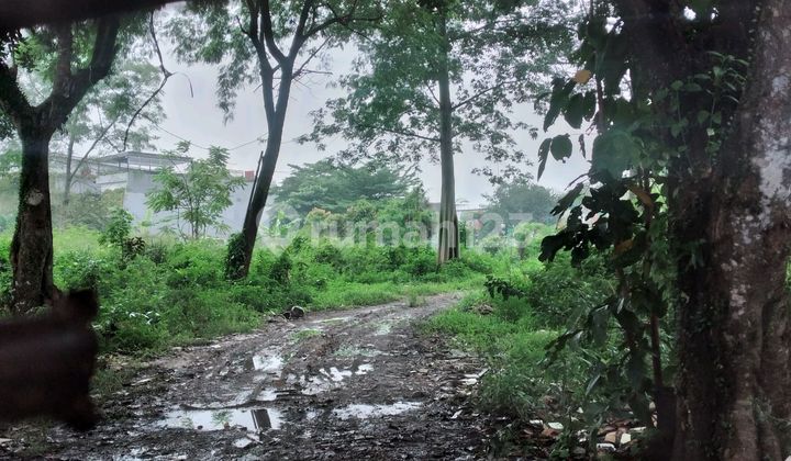 Dijual Cepat Tanah di Pondok Cabe Cinangka Murah Jarang Ada Dijual Cepat Tanah di Pondok Cabe Cinangka Murah Jarang Ada