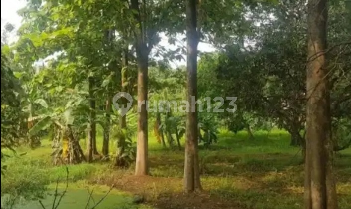 Quick Sale of Land in Balaraja Industrial Area, Tangerang Quick Sale of Land in Balaraja Industrial Area, Tangerang