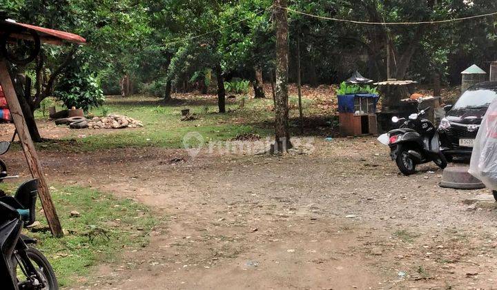 Jual Cepat Tanah Darat Dan Datar Dicirendeu Lokasi Bagus Murah 2