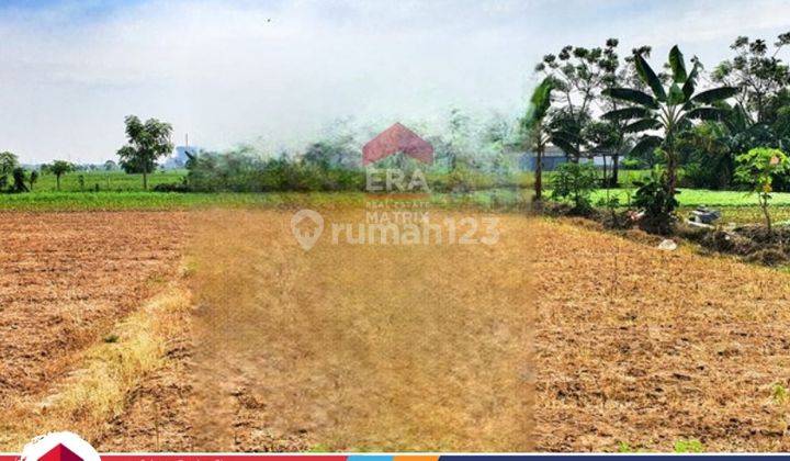 Tanah Bebas Banjir 2478 M2 Babelan Lokasi Strategis Pinggir Jalan Shm Nego Sampai Jadi 2