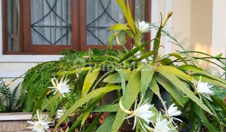 Dijual Rumah Nyaman dan Asri,Siap Huni, Pondok Kelapa L, Jakarta Timur Dijual Rumah Nyaman dan Asri,Siap Huni, Pondok Kelapa L, Jakarta Timur