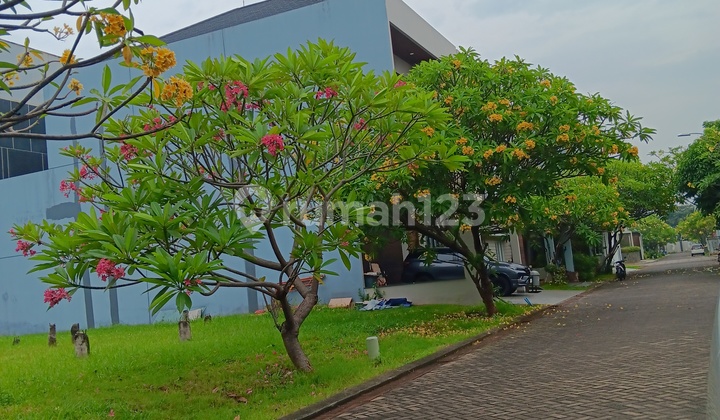 Harga Bawah NJOP Tanah Palm Spring Jgc 480M2 Bebas Banjir Harga Bawah NJOP Tanah Palm Spring Jgc 480M2 Bebas Banjir