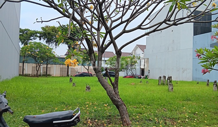 Harga Bawah NJOP Tanah Palm Spring Jgc 480M2 Bebas Banjir Harga Bawah NJOP Tanah Palm Spring Jgc 480M2 Bebas Banjir