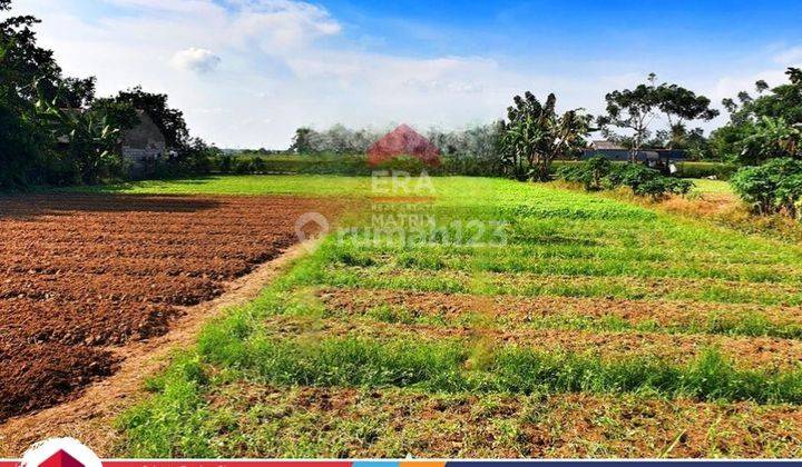 Tanah Lokasi Strategis Pingir Jalan Babelan Bekasi  1