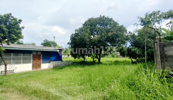 Tanah Siap Bangun Di Jln Arco Raya, Rumah+ Pohon Lokasi Strategis