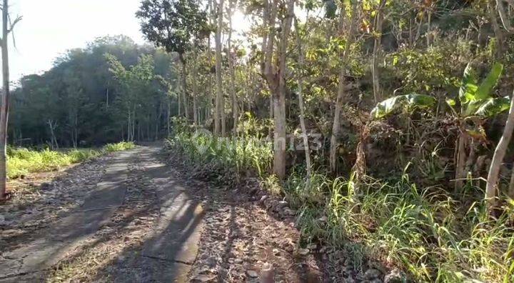 Tanah di Jual murah,Jual tanah murah di Wonosari Gunung kidul 1