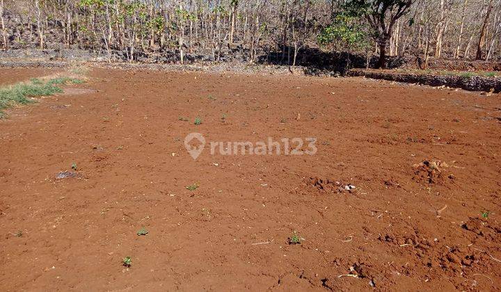 Tanah di Jual murah,Jual tanah murah di Wonosari Gunung kidul Yogyakarta 2