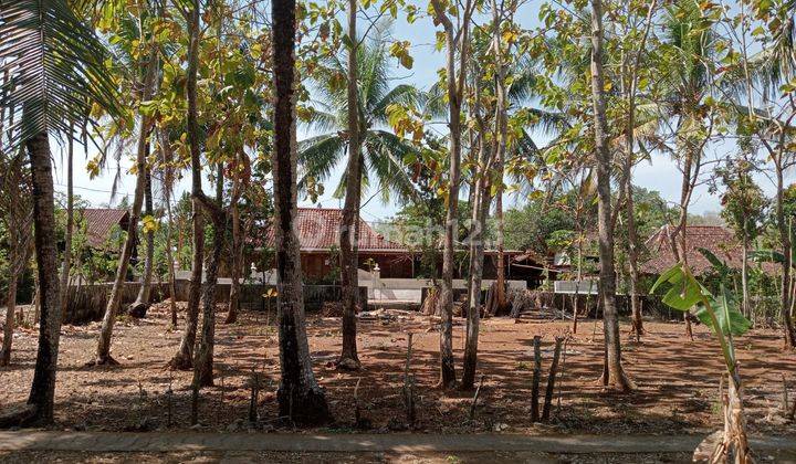 Tanah di Jual murah,Jual tanah murah di Wonosari Gunung kidul Yogyakarta 2