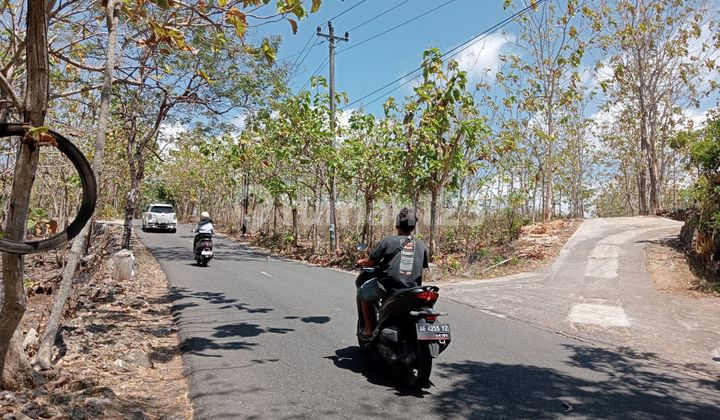 Tanah di Jual murah,Jual tanah murah di Wonosari Gunung kidul Yogyakarta 1