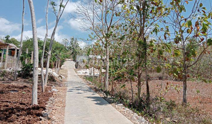 Tanah di Jual murah,Jual tanah murah di Wonosari Gunung kidul Yogyakarta 2