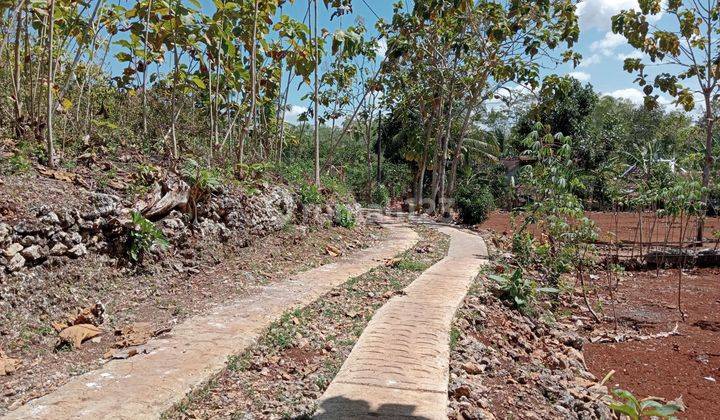 Tanah di Jual murah,Jual tanah murah di Wonosari Gunung kidul 1