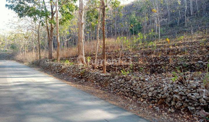 Tanah di Jual murah,Jual tanah murah di Wonosari Gunung kidul 2
