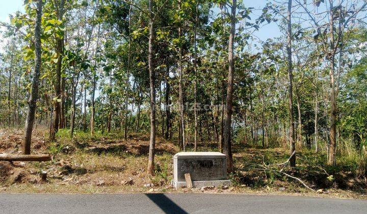 Tanah di Jual murah,Jual tanah murah di Wonosari Gunung kidul 1