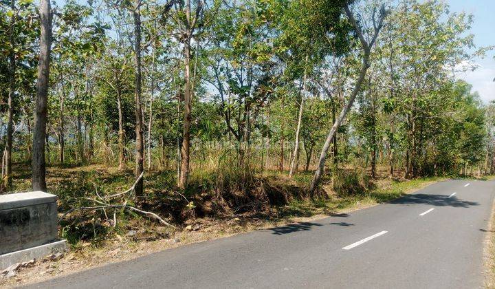 Tanah di Jual murah,Jual tanah murah di Wonosari Gunung kidul 2