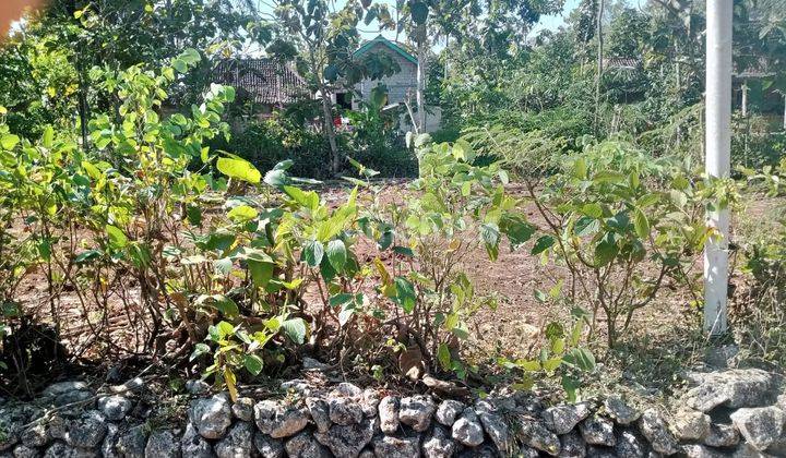 Tanah di Jual murah,Jual tanah murah di Wonosari Gunung kidul