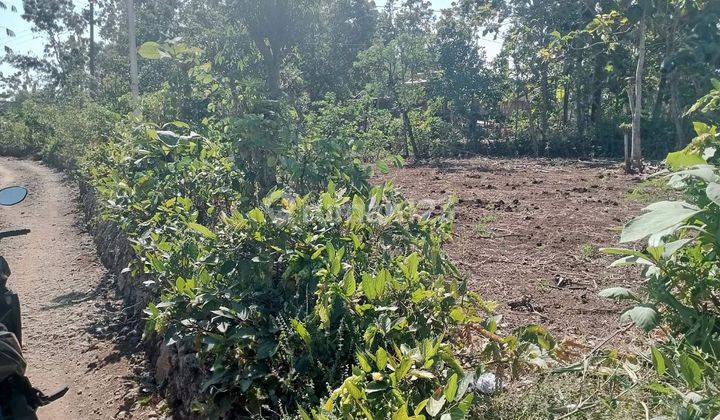 Tanah di Jual murah,Jual tanah murah di Wonosari Gunung kidul