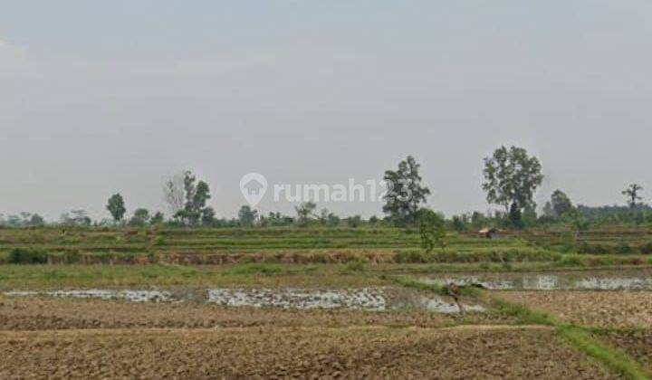 Tanah sawah dekat tol Ciujung  1