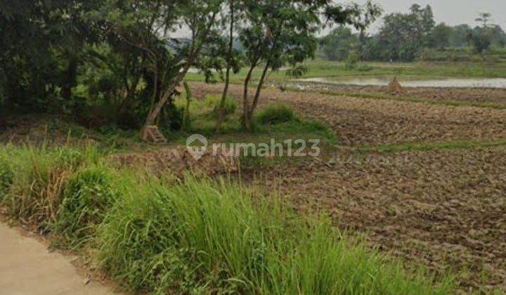 Tanah sawah dekat tol Ciujung  2