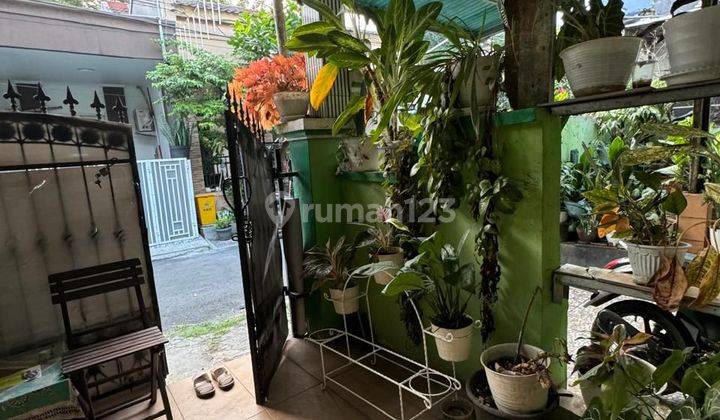 Di Jual Rumah Gandeng,e 2