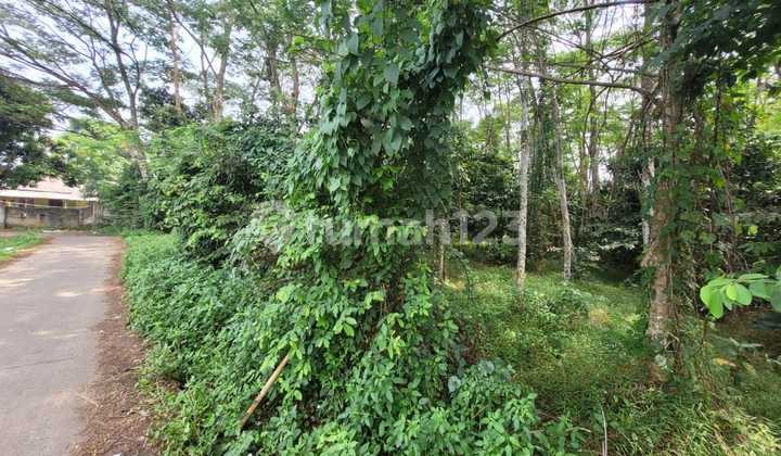 Di Jual Tanah Desa Peusar Panongan. Dw Sf