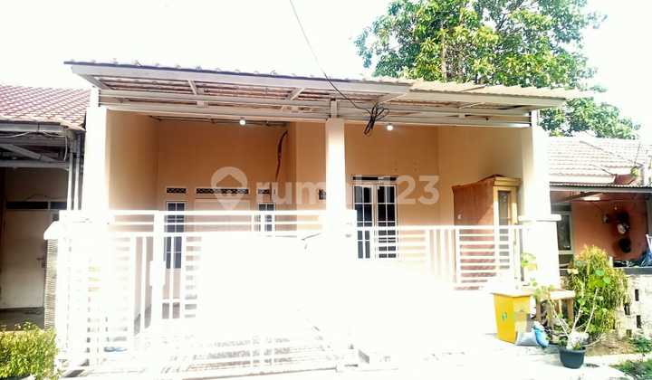 Di Sewa Kan Rumah Raflesia Depan Mall Citra Raya.as Di Sewa Kan Rumah Raflesia Depan Mall Citra Raya.as