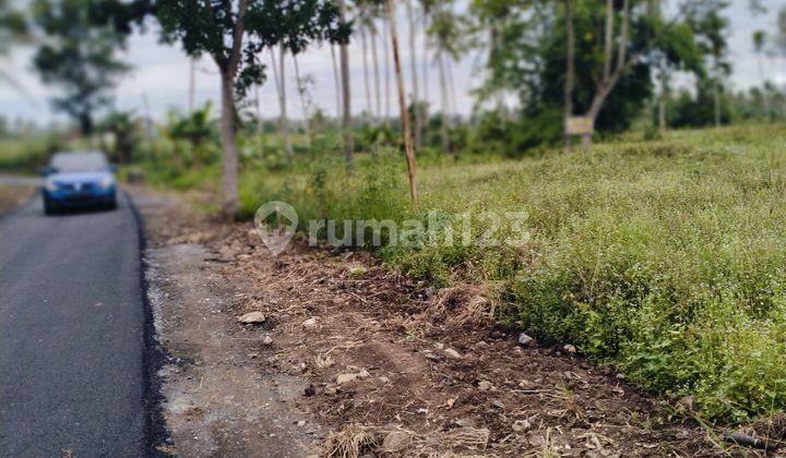 Tanah 60000 m2 SHM Kalianda, Lampung Selatan