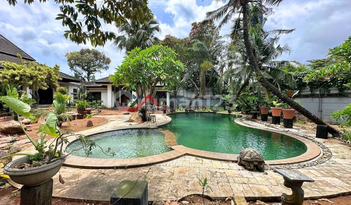 Villa Type House with Spacious and Lush Yard in South Tangerang