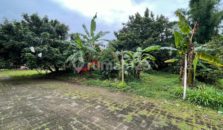 Tanah Luas Pinggir Jalan Raya Cocok Untuk Cluster Usaha