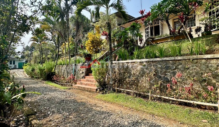Beautiful View Villa Green Expanse In Megamendung 2