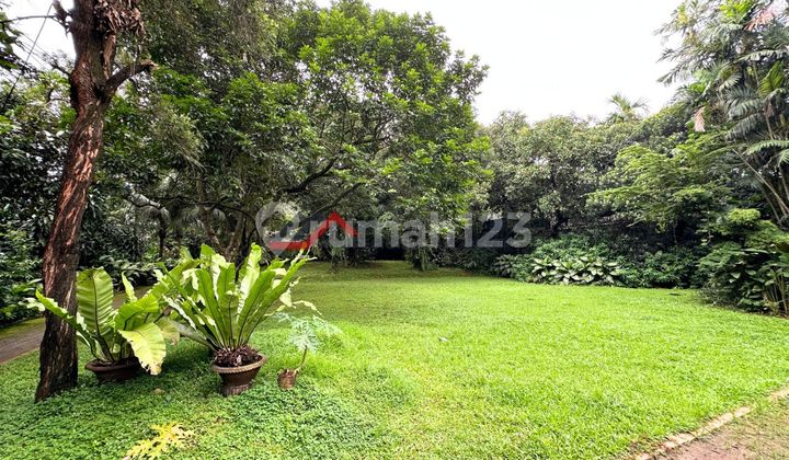 Old House Land Count Interesting in Cilandak Suitable for Investment 2