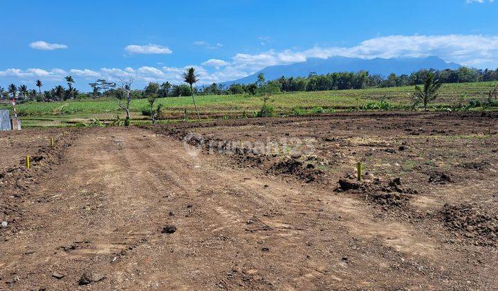 Tanah Murah Lokasi Strategis di Krajan Klampok Singosari, Malang 1