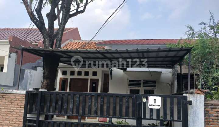 Disewakan Rumah Asri Siap Huni Tanah Luas 1 Lantai Akses Jalan 2 Mobil Di Condet 1