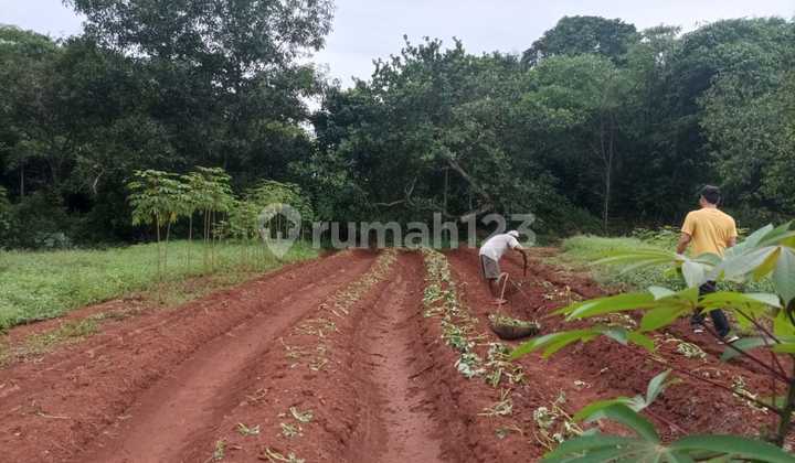 For Quick Sale: 5,321 M² Land with SHM Near Jorr 2 Toll Road, Bekasi, Plot 015 Co 030