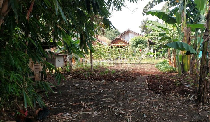 Nego Sampai Deal Tanah SHM 500M² Nempel Bsd