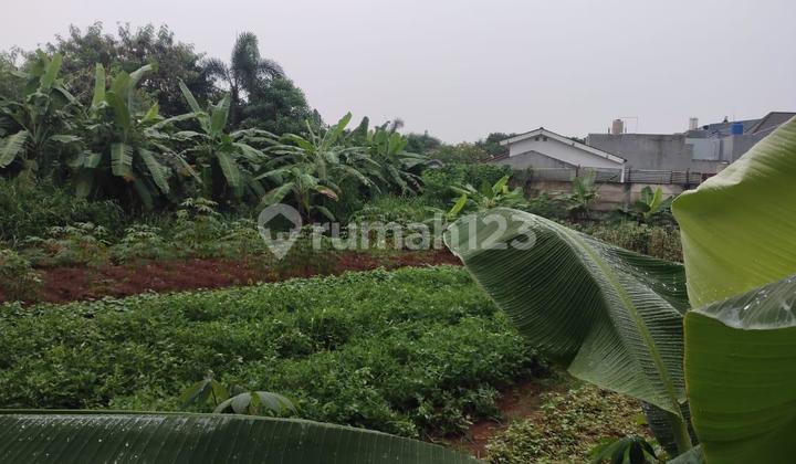 Tanah Luas371m SHM di Bintaro Jaya Tangsel