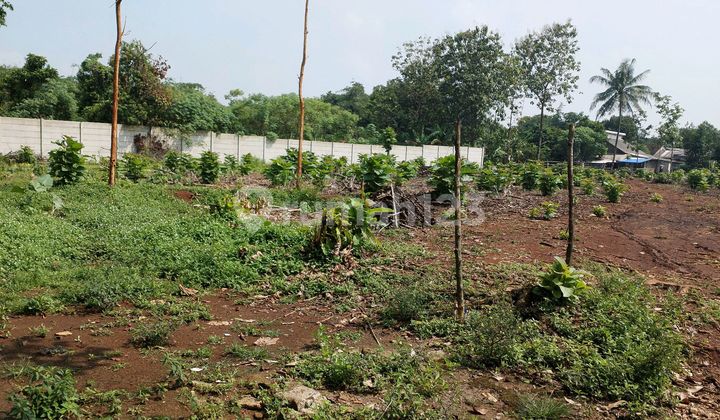 SHM Land 5300m2 in Cisauk Adjacent to BSD Suitable for Cluster Development SHM Land 5300m2 in Cisauk Adjacent to BSD Suitable for Cluster Development