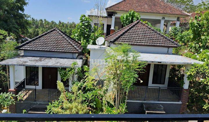 Dijual Villa Bukit Lovina di Villa bukit lovina bali 2