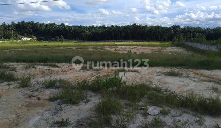 Quick Sale Industrial Zone Land Plot Flat and Hard Soil, Duri - Dumai, Riau Quick Sale Industrial Zone Land Plot Flat and Hard Soil, Duri - Dumai, Riau